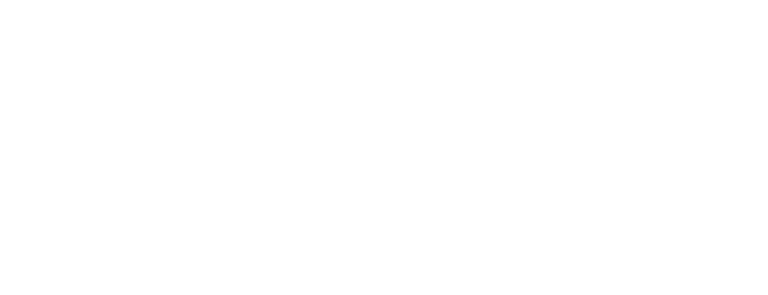 Logo for Berle Pool & Spa