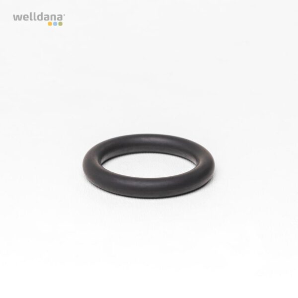 O-Ring Ø 25