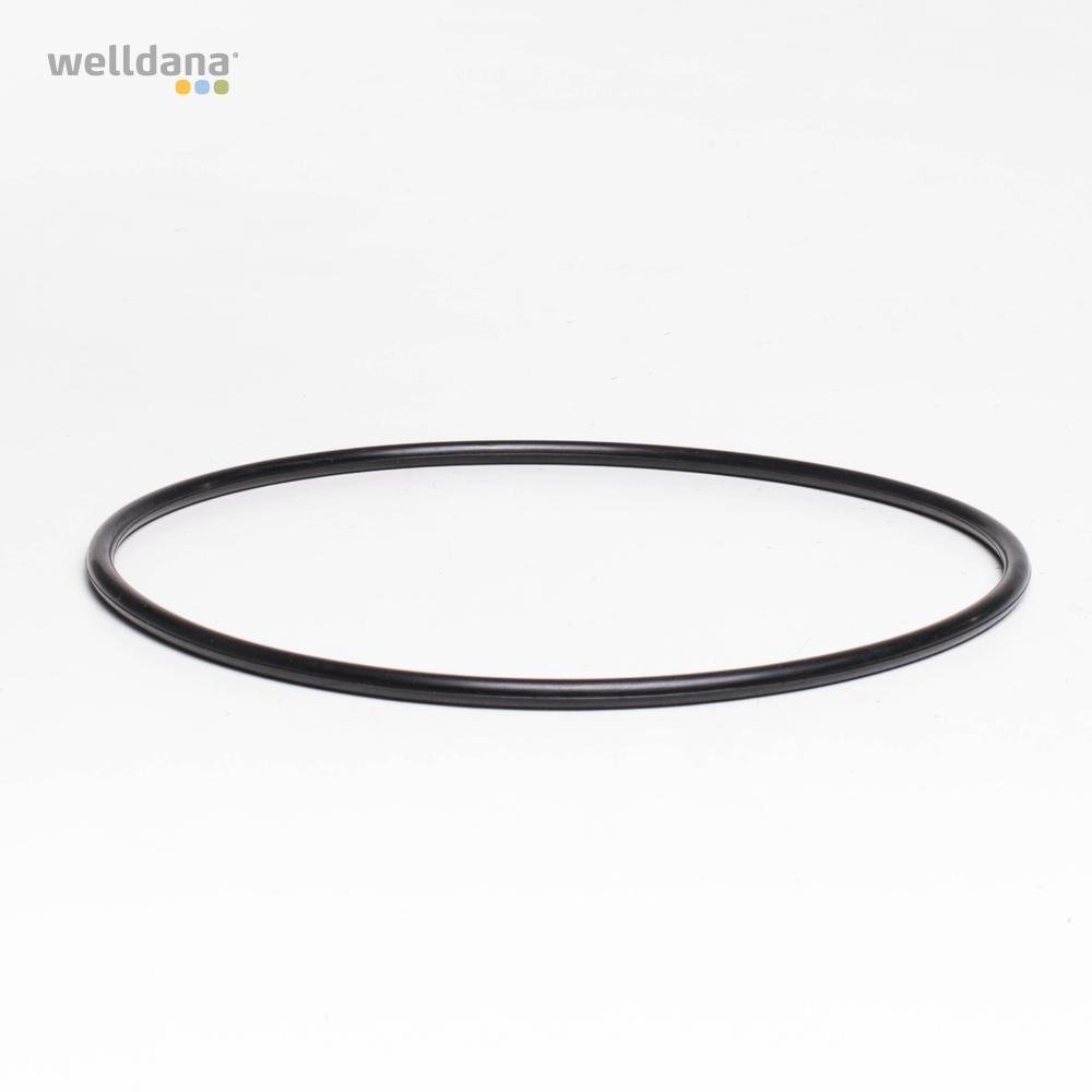 O-ring f. låg 2" topventil Welldana filter