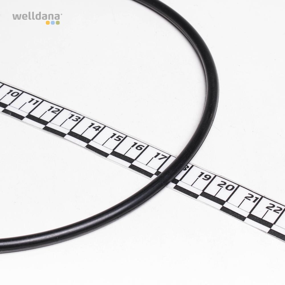 O-ring f. låg 2" topventil Welldana filter - Billede 2
